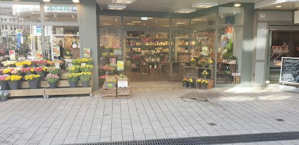 Blumen Risse Blumenladen Wuppertal-Elberfeld