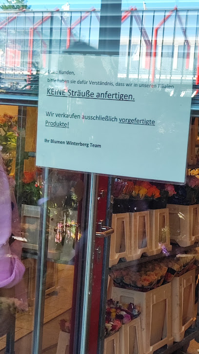 Blumen Winterberg GmbH
