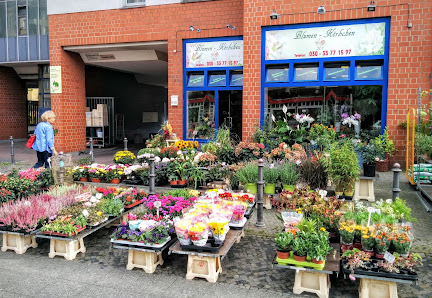 Blumenkörbchen