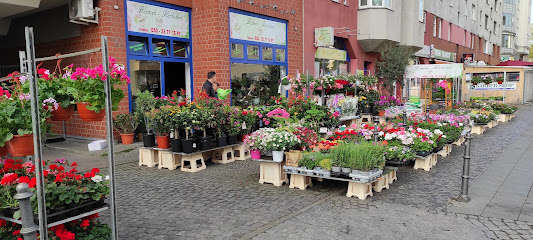 Blumenkörbchen