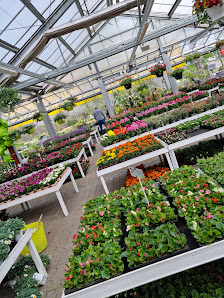 Blumen Risse Blumenmarkt Wuppertal-Oberbarmen