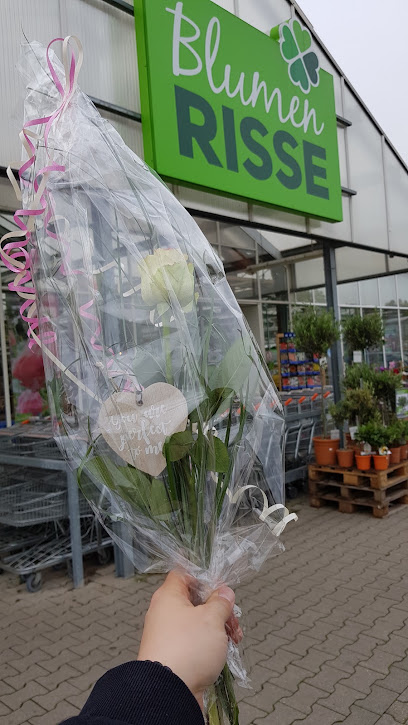 Blumen Risse Blumenmarkt Wuppertal-Oberbarmen