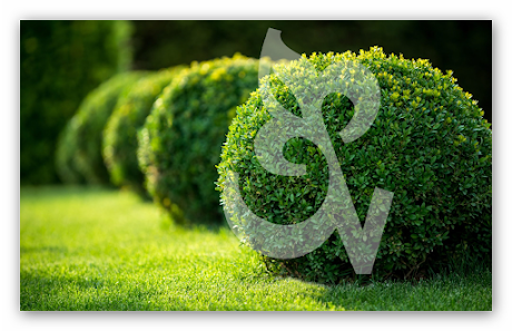 Garten- und Landschaftsbau Nockemann