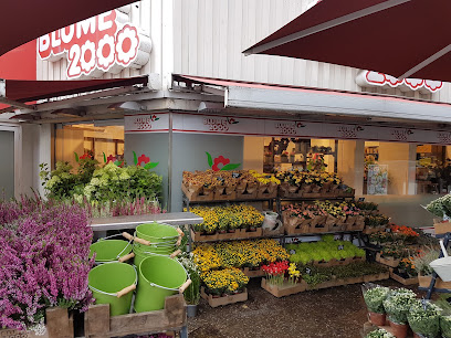 BLUME 2000