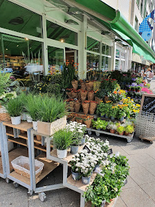 Blume 2000 Blumen-Handelsgesellschaft mbH