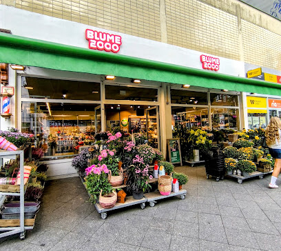Blume 2000 Blumen-Handelsgesellschaft mbH