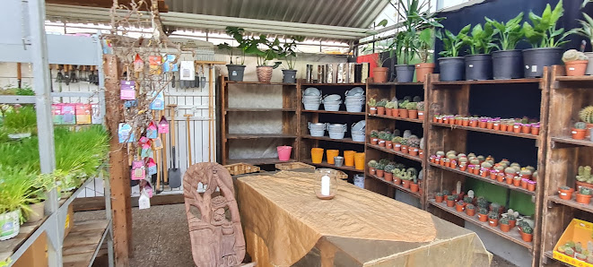 FLORALIVE Gärtnerei