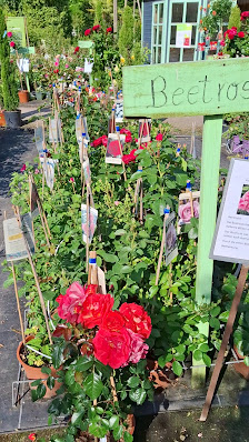 FLORALIVE Gärtnerei