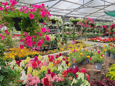 FLORALIVE Gärtnerei