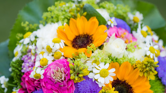 Blumen Ball & Co
