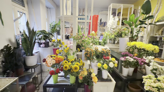 Blumen Dürr