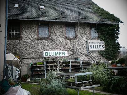 Blumeninsel Sebe