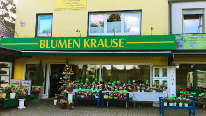 Blumenhaus Krause