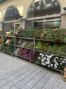 BLUME2000 Wuppertal Herzogstr.