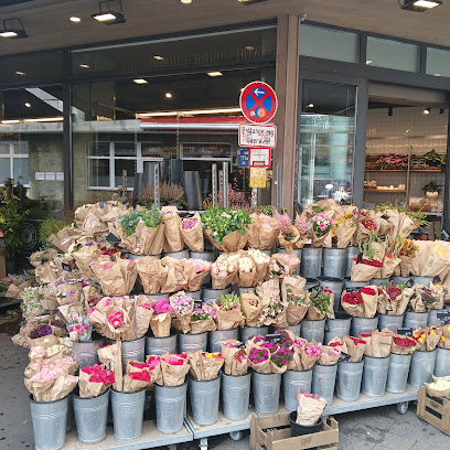 BLUME2000 Wuppertal Herzogstr.