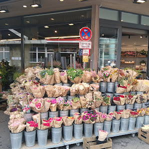 BLUME2000 Wuppertal Herzogstr.