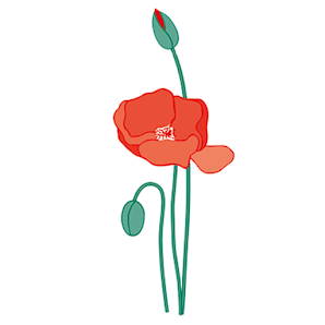 Blumen Busch