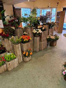 Blumen Busch