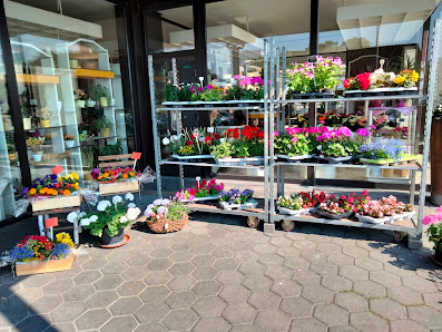 Blumen Brinkkötter