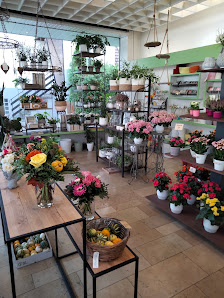 Blumen Heibrok