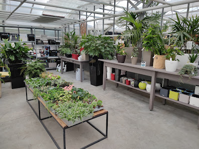 Blumen Wilking GmbH