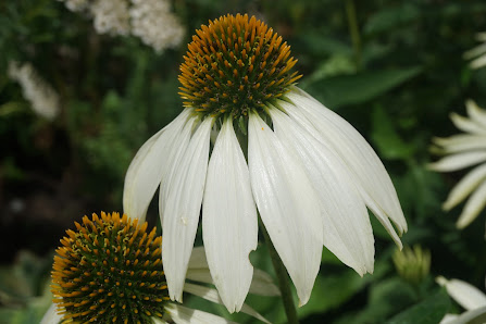 Michael Holzweiler Garten- und Landschaftsbau GmbH