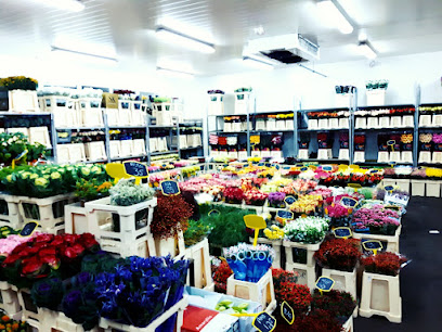 Blumen-Großhändler in Bielefeld