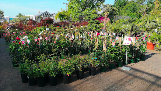 Gartencenter Mühlenweg