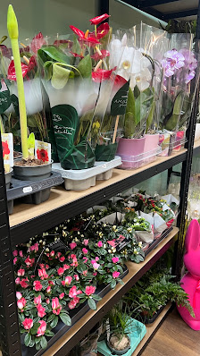 Floristeria by Suzi