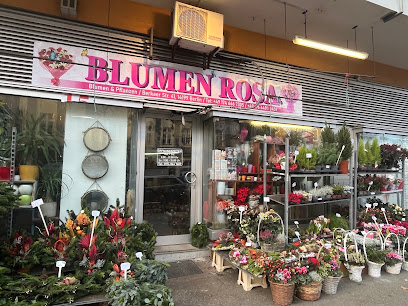 Blumen & Hao
