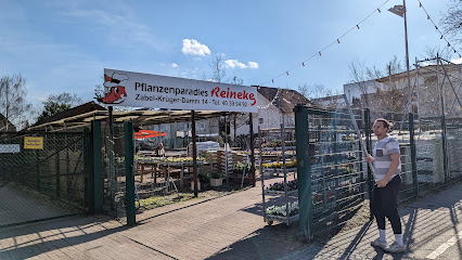 Pflanzenparadies Reineke