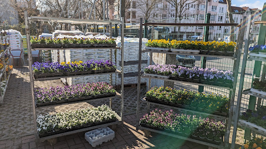 Pflanzenparadies Reineke