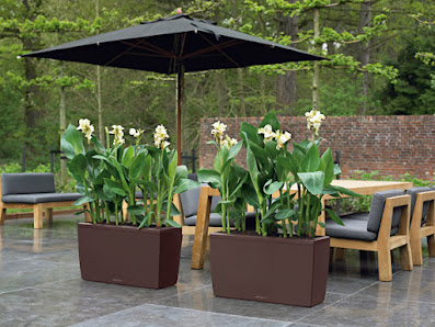 Blumenideen Dannhaus