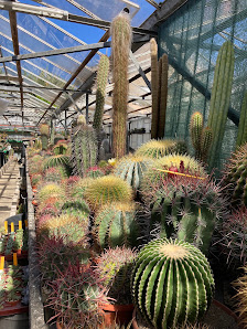 Dirk Rackelmann Gartenbau u. Blumenhaus