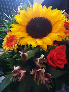 Hans-Dieter Grimm