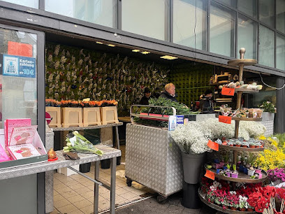 Blumen Holländer
