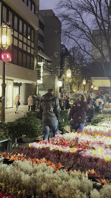 Blumen Holländer