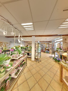 Blumen Obermeier