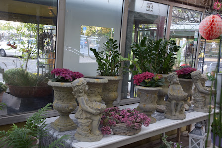 Blumen Hegemann UG