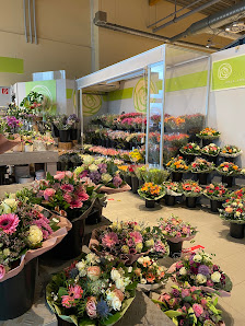 Blumenland Anja van Setten