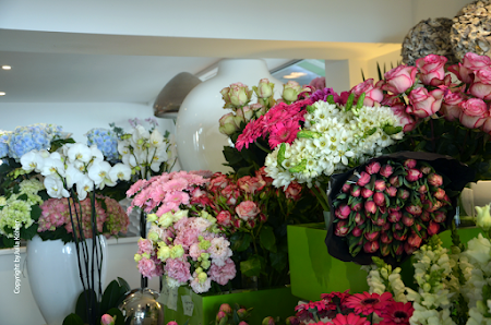 Blumentruhe Inh.V. Viering