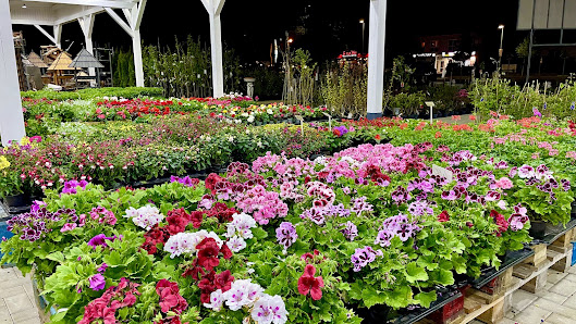 Polnische Garten Center