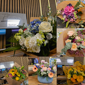 Blumen Mariella – Bad Godesberg Flowers