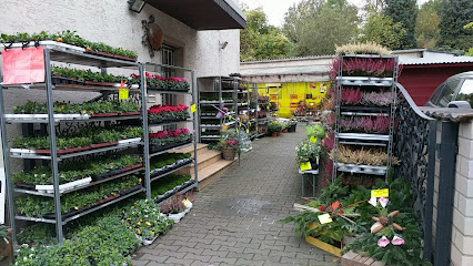 Axel Volberg Blumen