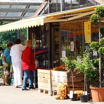 die Pflanzenwelt - Dirk Langbehn Gartencenter