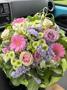 Blumen Anemone