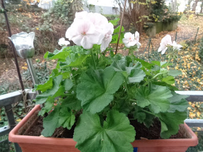 Blumenladen Melina