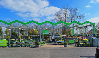 Gartenbaumschule Hau Bornheim-Walberberg