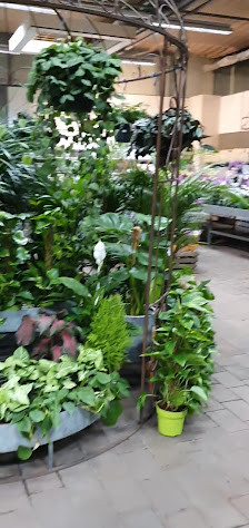 Gartencenter Schrieverhoff