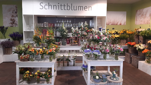 Gartencenter Schrieverhoff